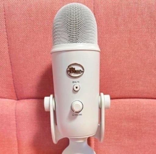 Blue yeti 白