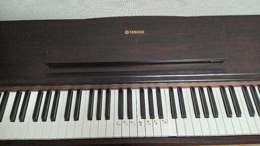 ジャンク品  ヤマハYDP-123