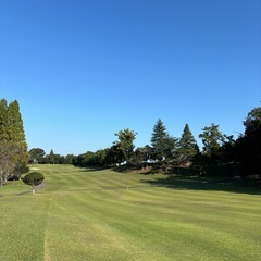 ゴルフ仲間募集⛳️