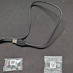ソニーワイヤレスイヤホン WF-SP700Nの画像