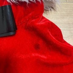 レディース サンタコスの画像