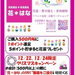 『花＊はな』クリスマスキャンペーンin山の上の雑貨市