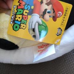 ノコノコ甲羅の画像