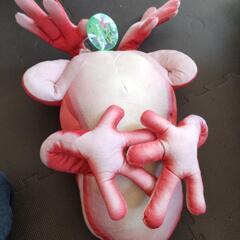 カエルの画像