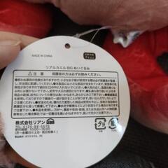 カエルの画像
