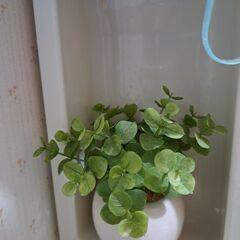 (決まりました)観葉植物ミニ3点セット(造花)