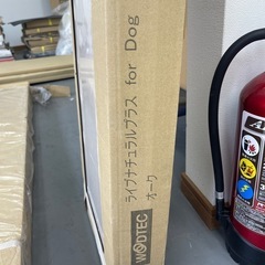 ❐(1坪入）WOODTECフローリング ライブナチュラルプラス HVB30005MPS オーク の画像
