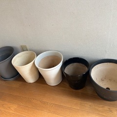 【無料】植木鉢　室内観葉植物利用