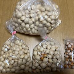 銀杏　ぎんなん　3.6ｋｇ