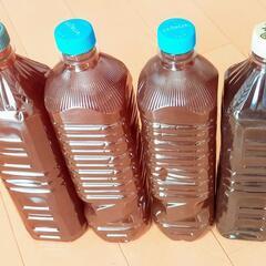 7/3〜7/5限定でお渡し可能！超濃厚PSB 光合成細菌 生バクテリア500mL〜　熱帯魚.メダカ.金魚.家庭菜園や観葉植物へ！の画像