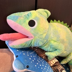 大きめぬいぐるみ　まとめて
の画像