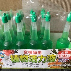 決定済み