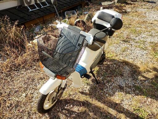 ライブディオZX ローダウン ロンホイカスタム