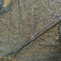 新品未使用ストール