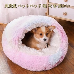 猫 犬 ベットの画像