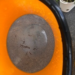 海を覗くでっかいゴーグル？の画像