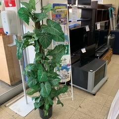 観葉植物　フェイク　造花　※2400010463105