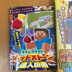 ⭕️DVDと特別付録本📕付き⭕️マインクラフト本の画像