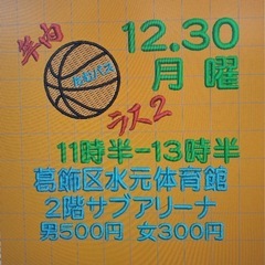 12/28土曜11:30-13:30葛飾水元体育館 - 葛飾区