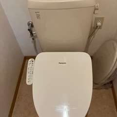 本日限定