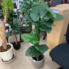 観葉植物　造花　※2400010463112