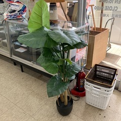 観葉植物　造花　※2400010463143