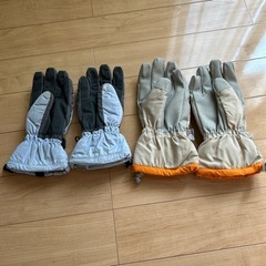 スキーグローブの画像