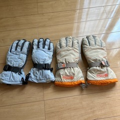 スキーグローブ