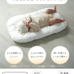 ベビー　お昼寝クッションの画像
