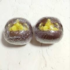 新品未開封☆いきもの大図鑑 「かめ」シリーズ 第3弾 KAME 03
ワニガメ（リューシスティック）２個セット♪の画像