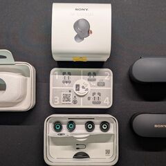 ソニー ワイヤレスノイズキャンセリングイヤホン WF-1000XM4の画像