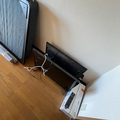 テレビ