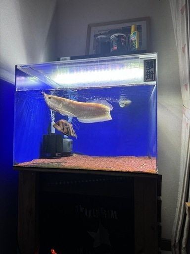 水槽