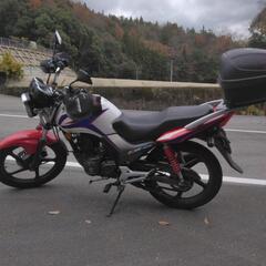 ホンダ　CBF125 調子良好　の画像