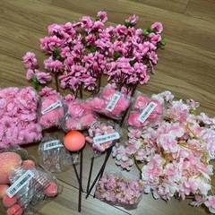 春のお花撮影用セット
