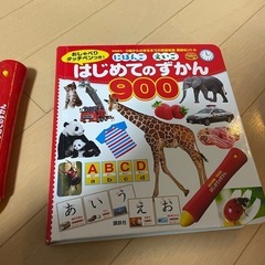 はじめてのずかん900