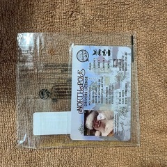 サンタの免許証風カード