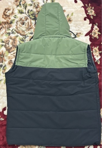 THE NORTH FACE フード付きダウンベスト