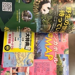 シンガポール　ガイドブック新品の画像