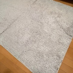 じゅうたんの画像
