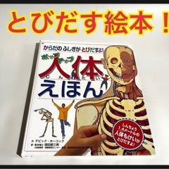 最終値引！【しかけ絵本】じんたい絵本　ポプラ社