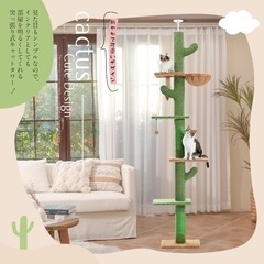 【受渡し日時指定: 平日19:30〜24:00】PETPELA ...