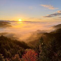 🔰写真素材 素人ｶﾒﾗﾏﾝ 一眼レフ 🔰の画像