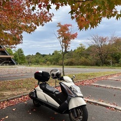 スズキジェンマ250  125ccスクーターと交換交渉可  の画像