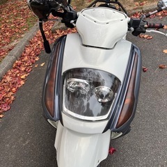スズキジェンマ250  125ccスクーターと交換交渉可  の画像