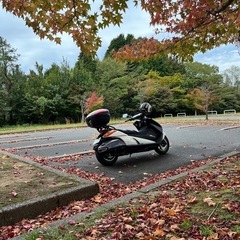 スズキジェンマ250  125ccスクーターと交換交渉可  の画像