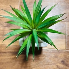 フェイクグリーン　
観葉植物　　の画像