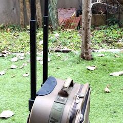 キャリーバッグ 32×20×48cmの画像