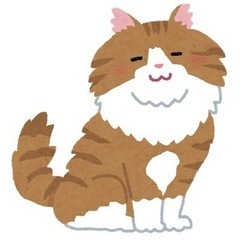 おすすめの猫カフェを教えてください！