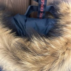 arctic explorer ダウンの画像